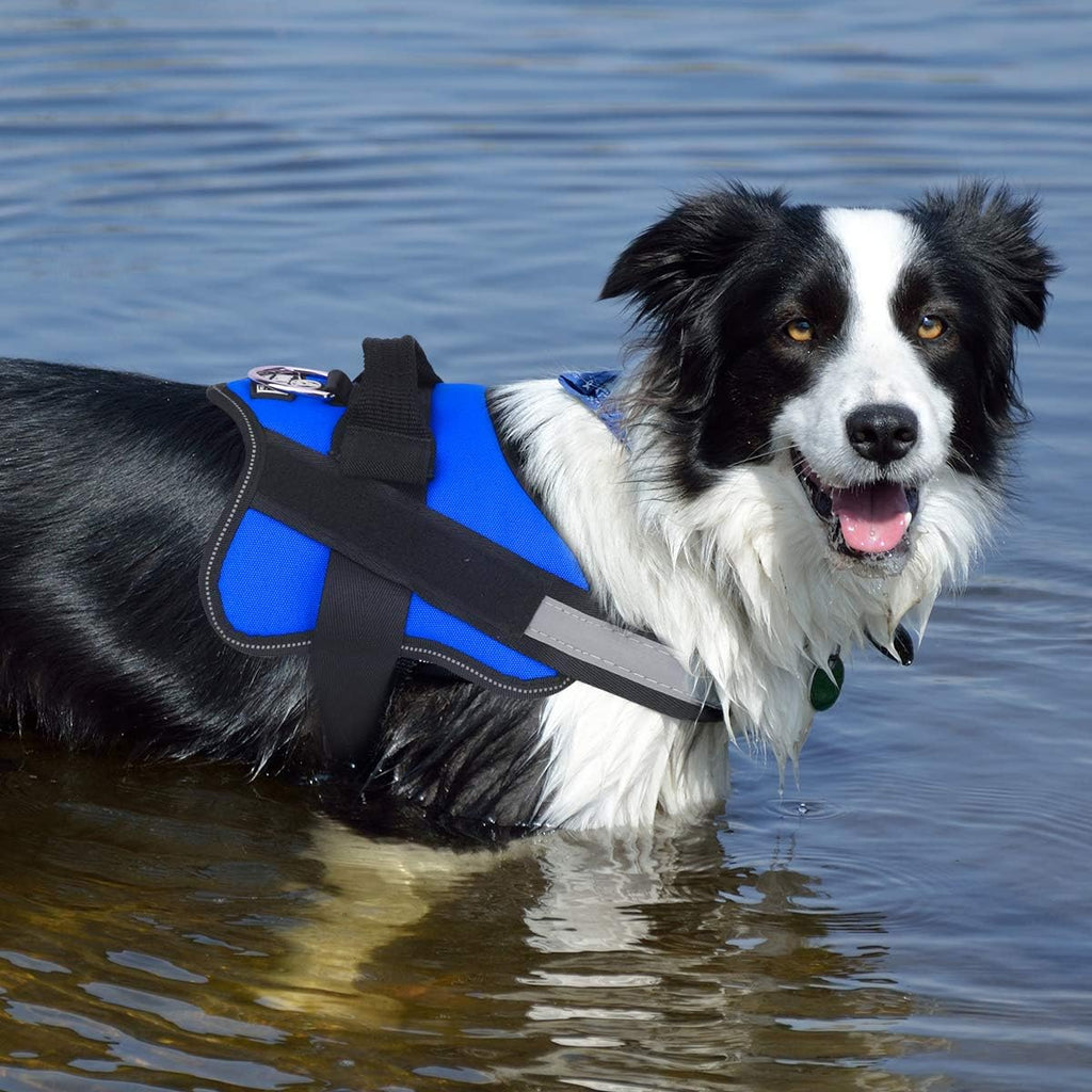Bolux small size dog harness quick release buckle