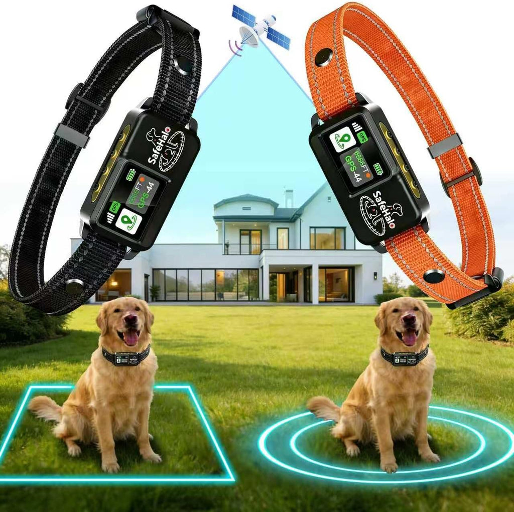 Safehalo GPS wireless dog fence system front view smart pet collar