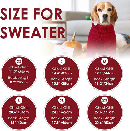 SUNFURA dachshund pug sweater displaying the high opening abdomen cut for clean toileting