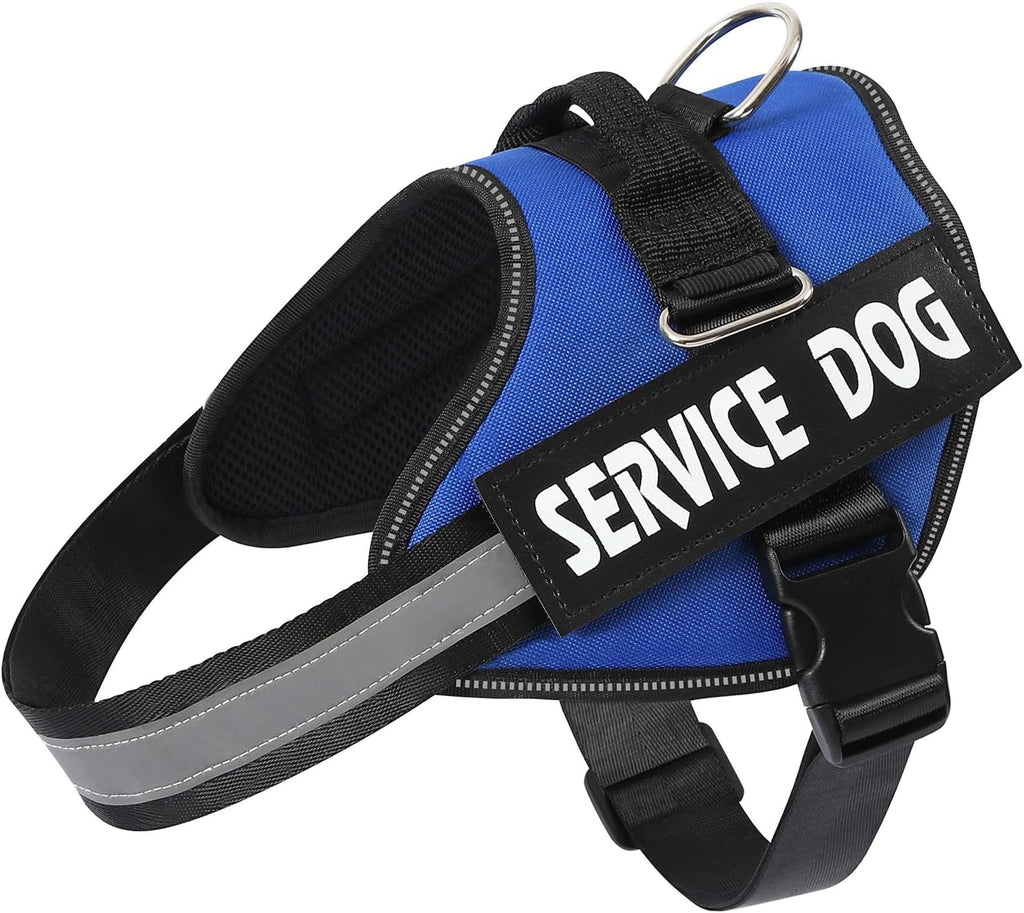 Mumupet service dog harness worn by small dog outdoors