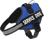 Mumupet service dog harness worn by small dog outdoors