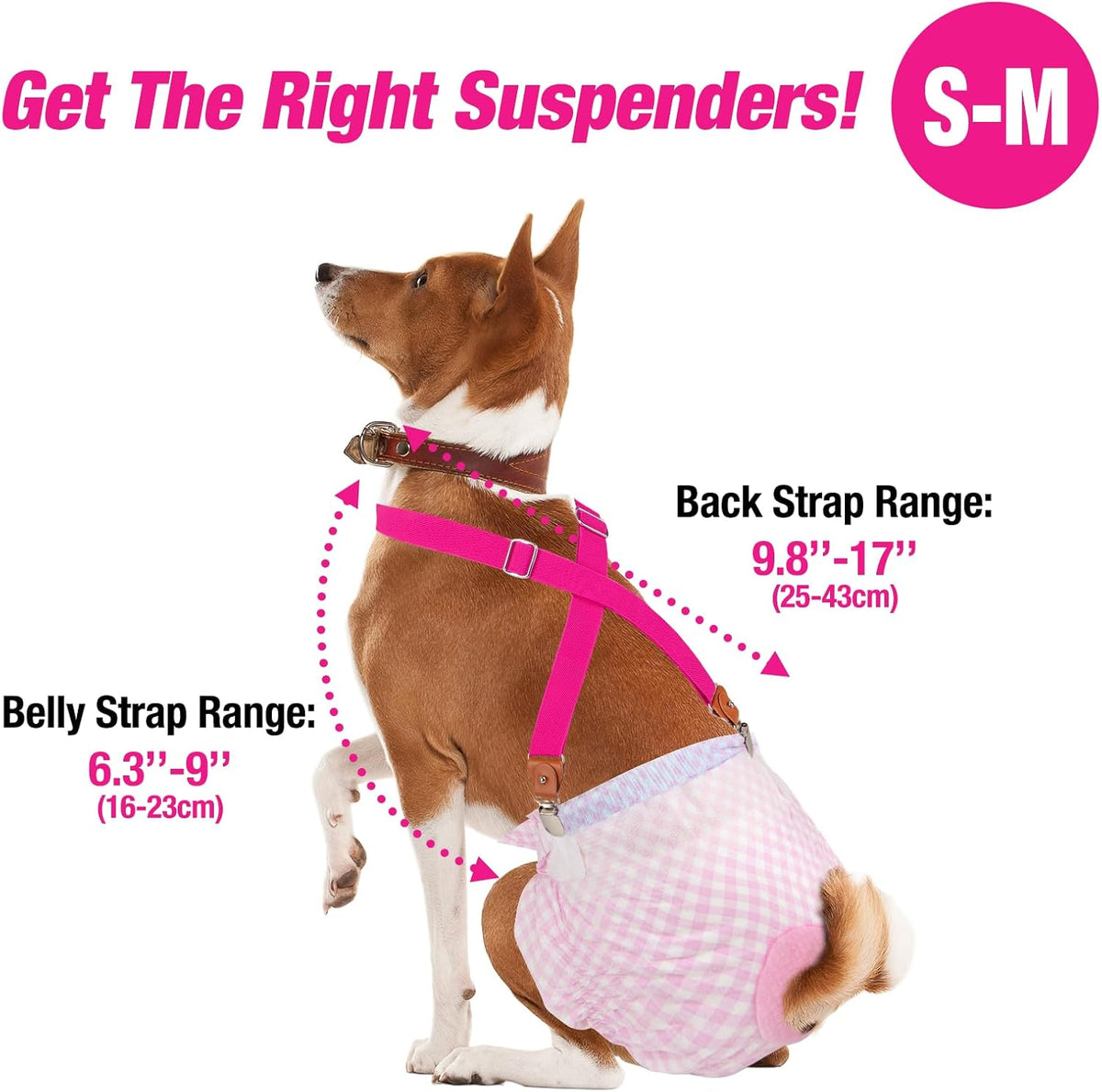 Authentic USA imported pet care elastic belly band keepers side view.