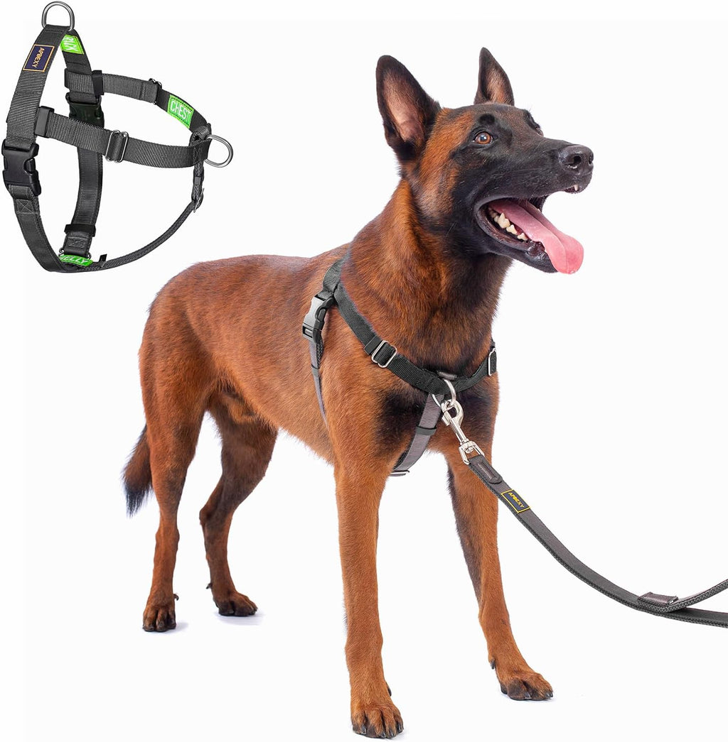 Freedom No Pull Dog Harness, Designed for Hound Dog Train, Easy Walk with 2 Stainless D-Rings, Sewn-in Instructions Tags for Easy Use, for Large Dogs Weight 60-80 lbs (Purple, L) - Image 10