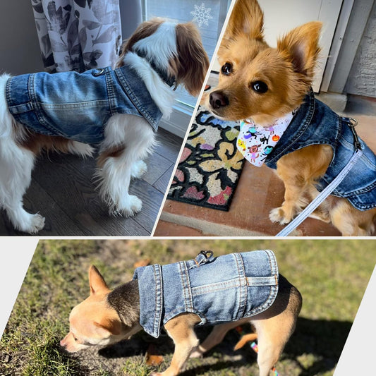 LKEX blue denim pet vest with leash attached to D ring