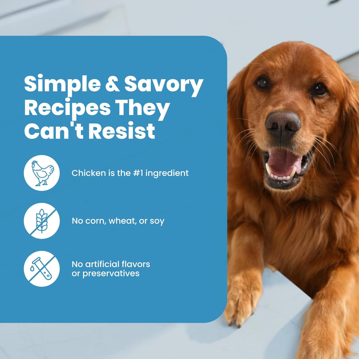 Blue Buffalo Nudges authentic USA dog treat label