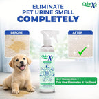 OdorXit pet urine and feces odor neutralizer spray packaging.