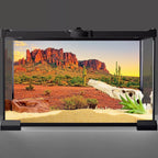 Awert reptile habitat background desert terrarium front view