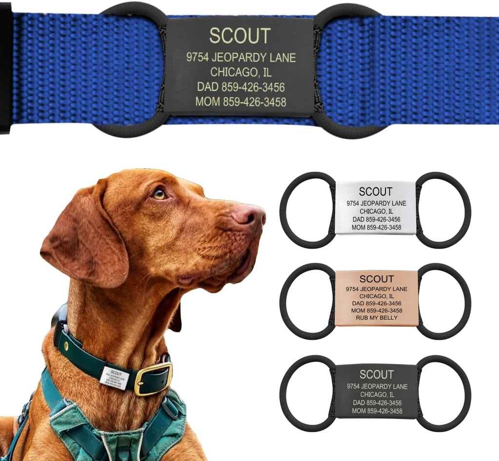 Rust resistant custom pet identification tag lifestyle view on an active dog.