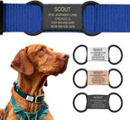 Rust resistant custom pet identification tag lifestyle view on an active dog.