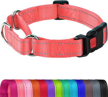 Joytale escape proof training collar showing the adjustable slider clip component