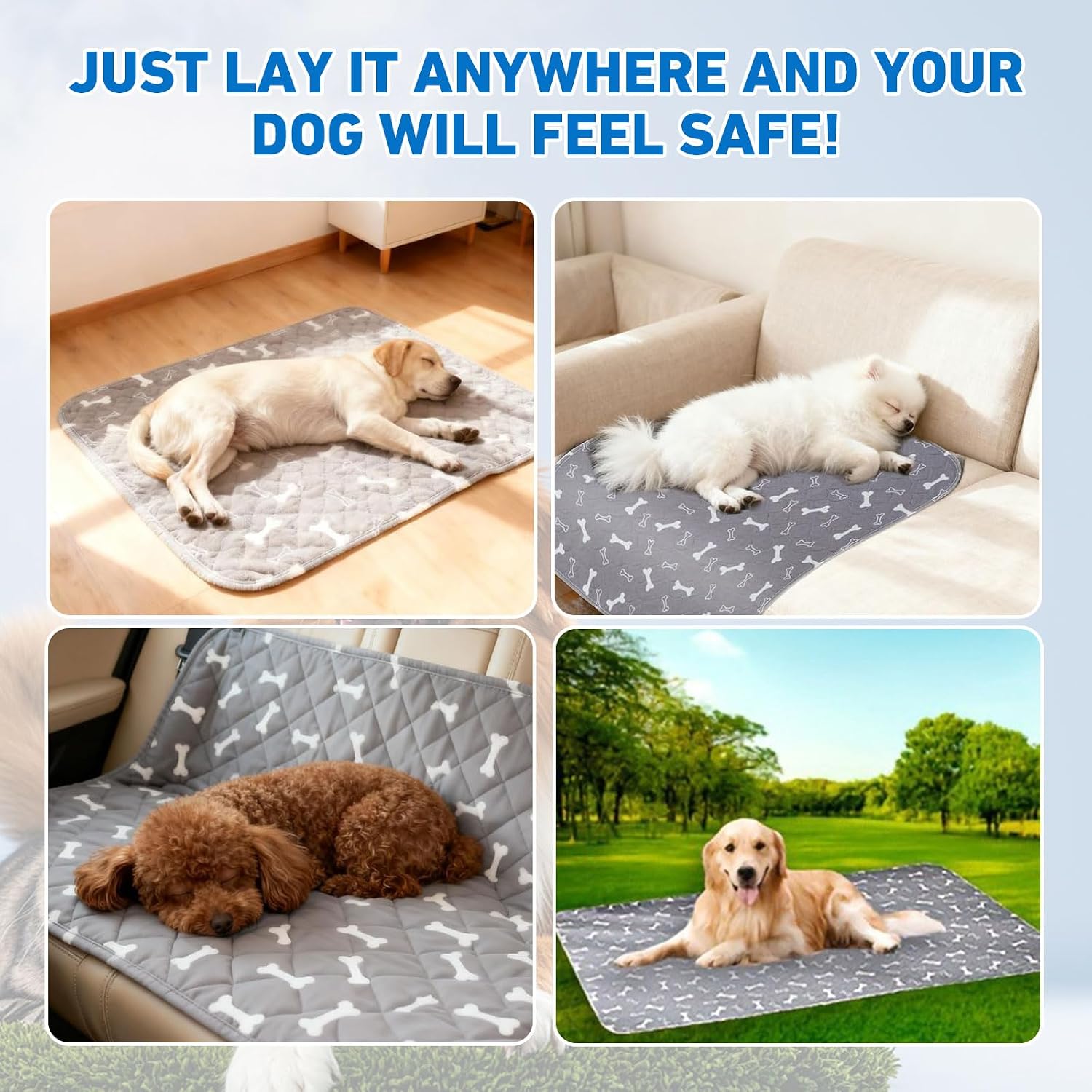 Eqexutir dog and cat potty training pad in a pet crate