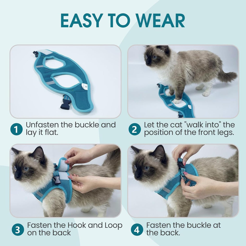 Heywean Cat Harness And Leash paired with matching walking leash