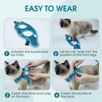 Heywean Cat Harness And Leash paired with matching walking leash