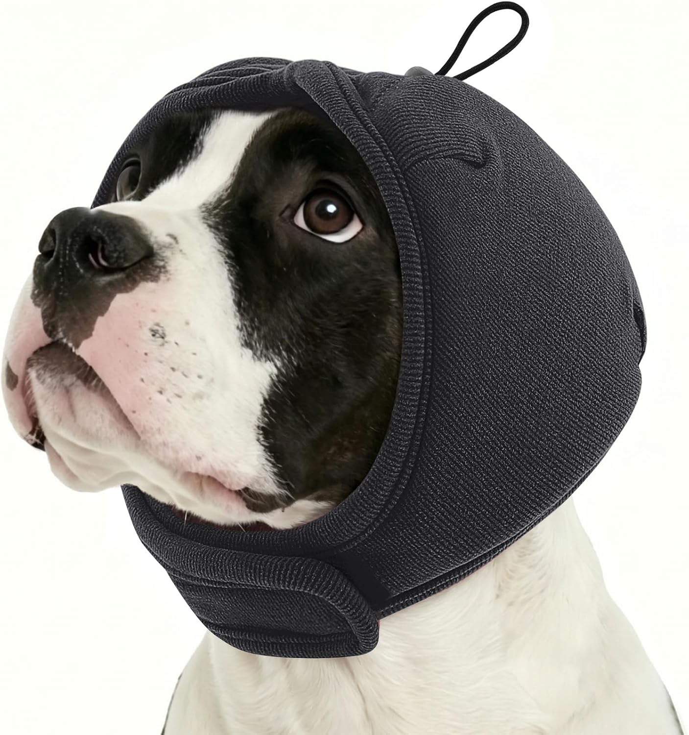 Sunfura dog ear wrap noise protection grey small front view on an anxious puppy.