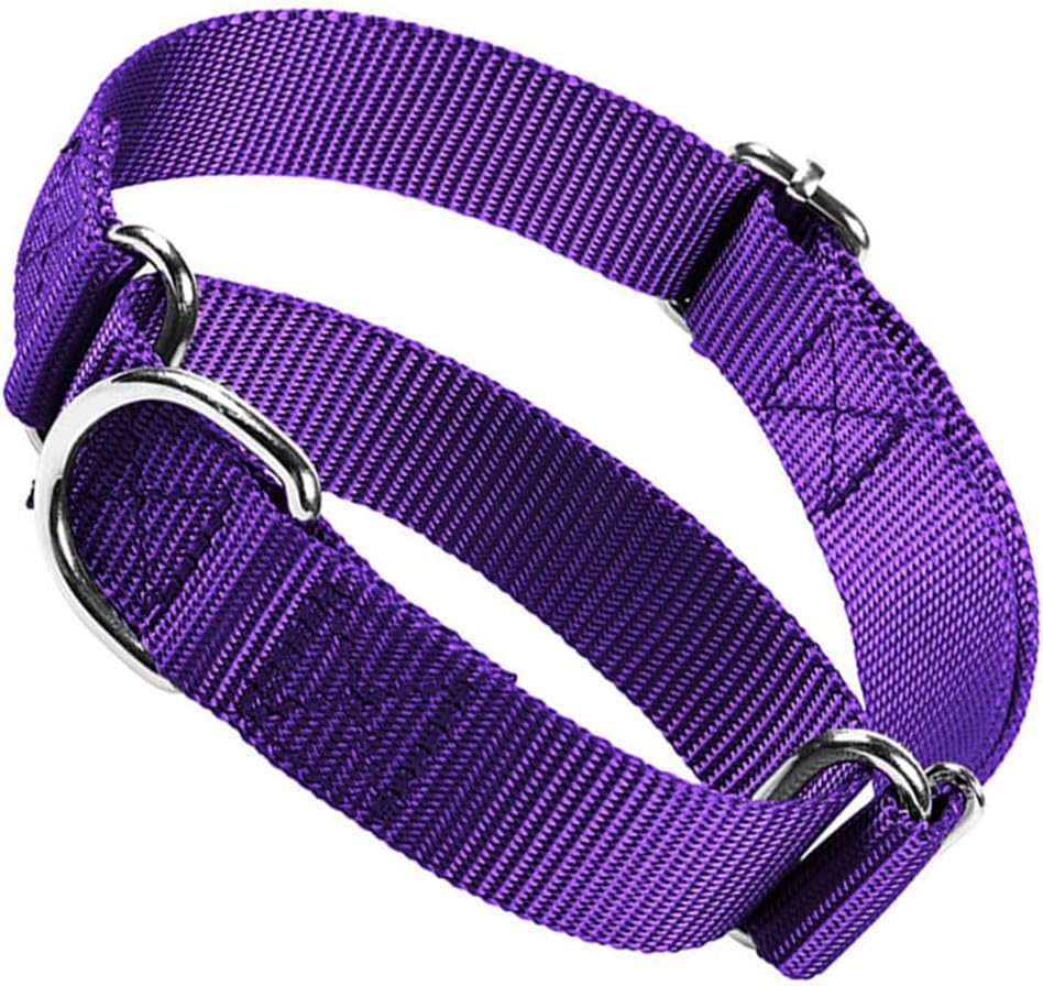 Martingale Collar for Dogs, No Pull Dog Collars for Large Dogs Heavy Duty No Slip Training Dog Choker Collar for for Small Medium Large Dogs (Black, M) - Image 12