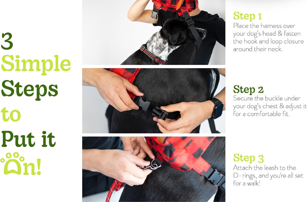 AKAY small pet accessory backpack laid flat with included 2 meter leash