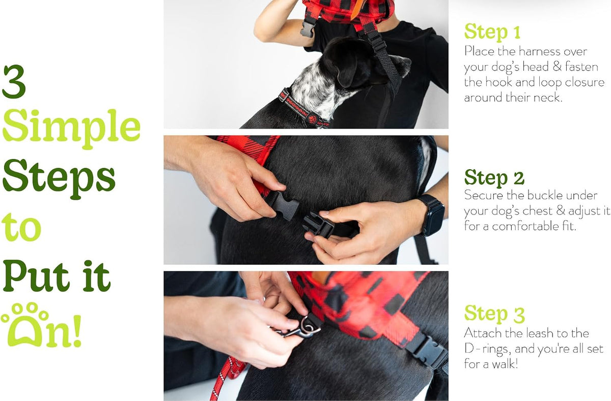 AKAY small pet accessory backpack laid flat with included 2 meter leash