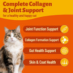 Multibites collagen supplement packaging information