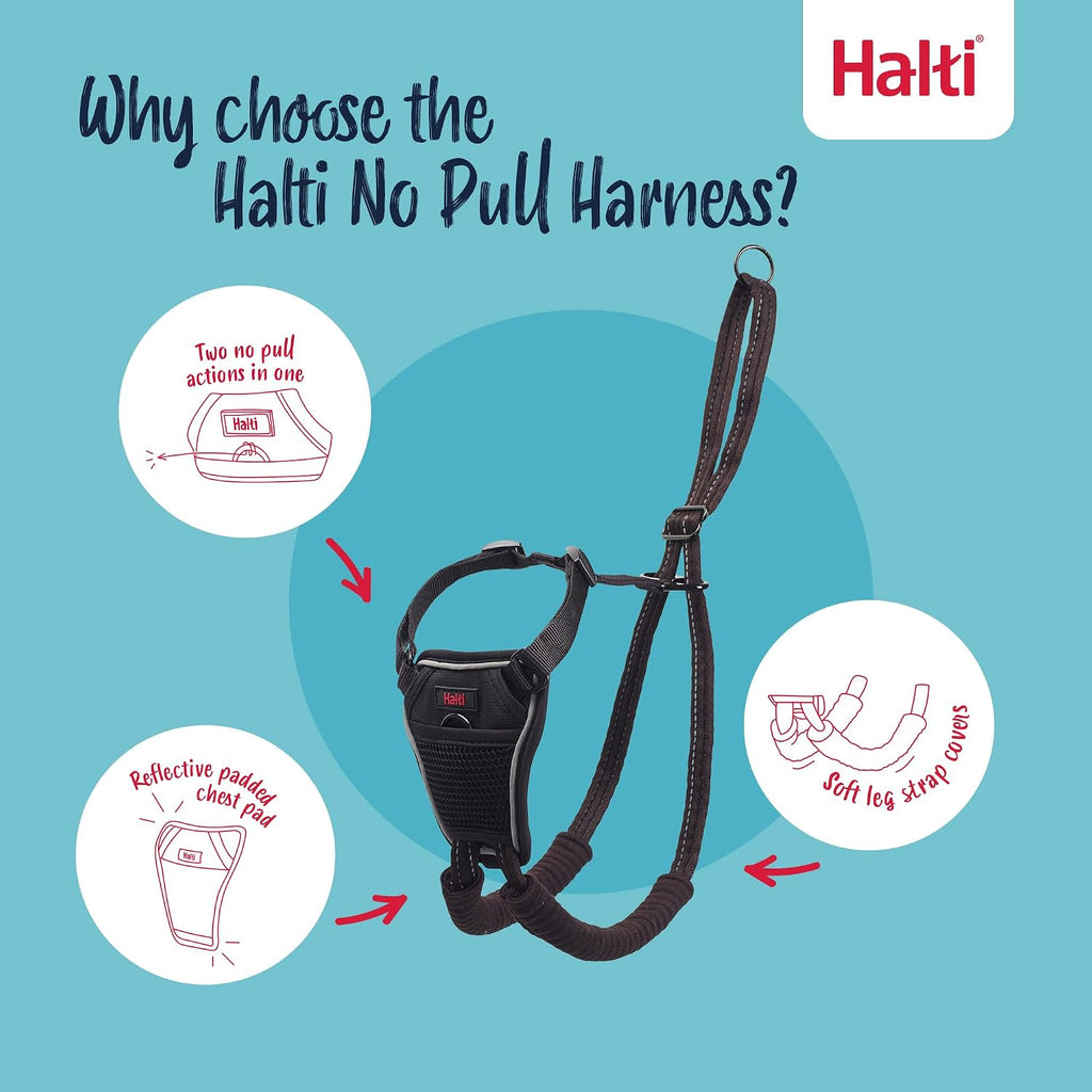 Dog wearing Halti no pull harness black side view