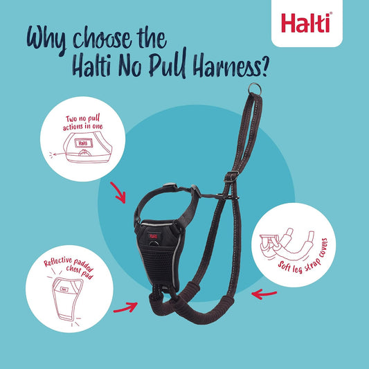 Dog wearing Halti no pull harness black side view