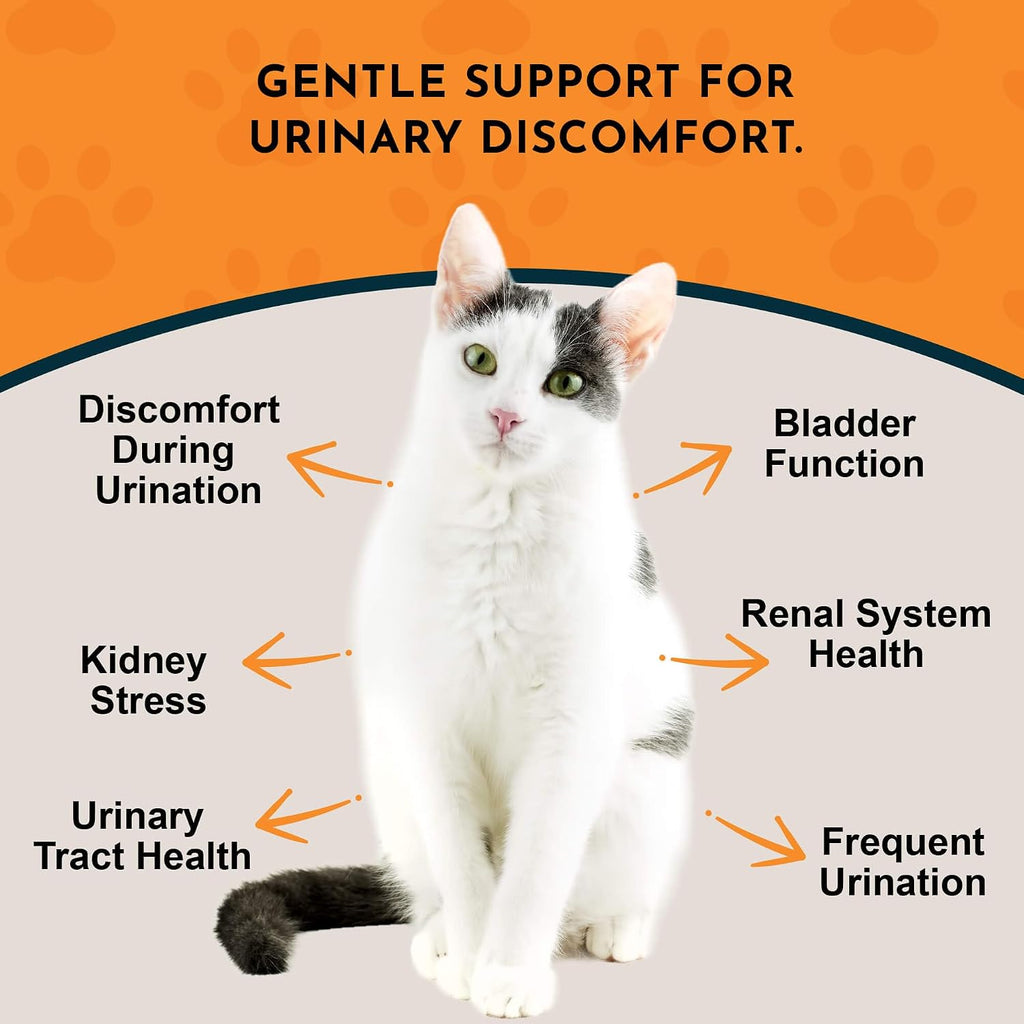 Animal Essentials kidney supplement packaging showing certified organic herbs