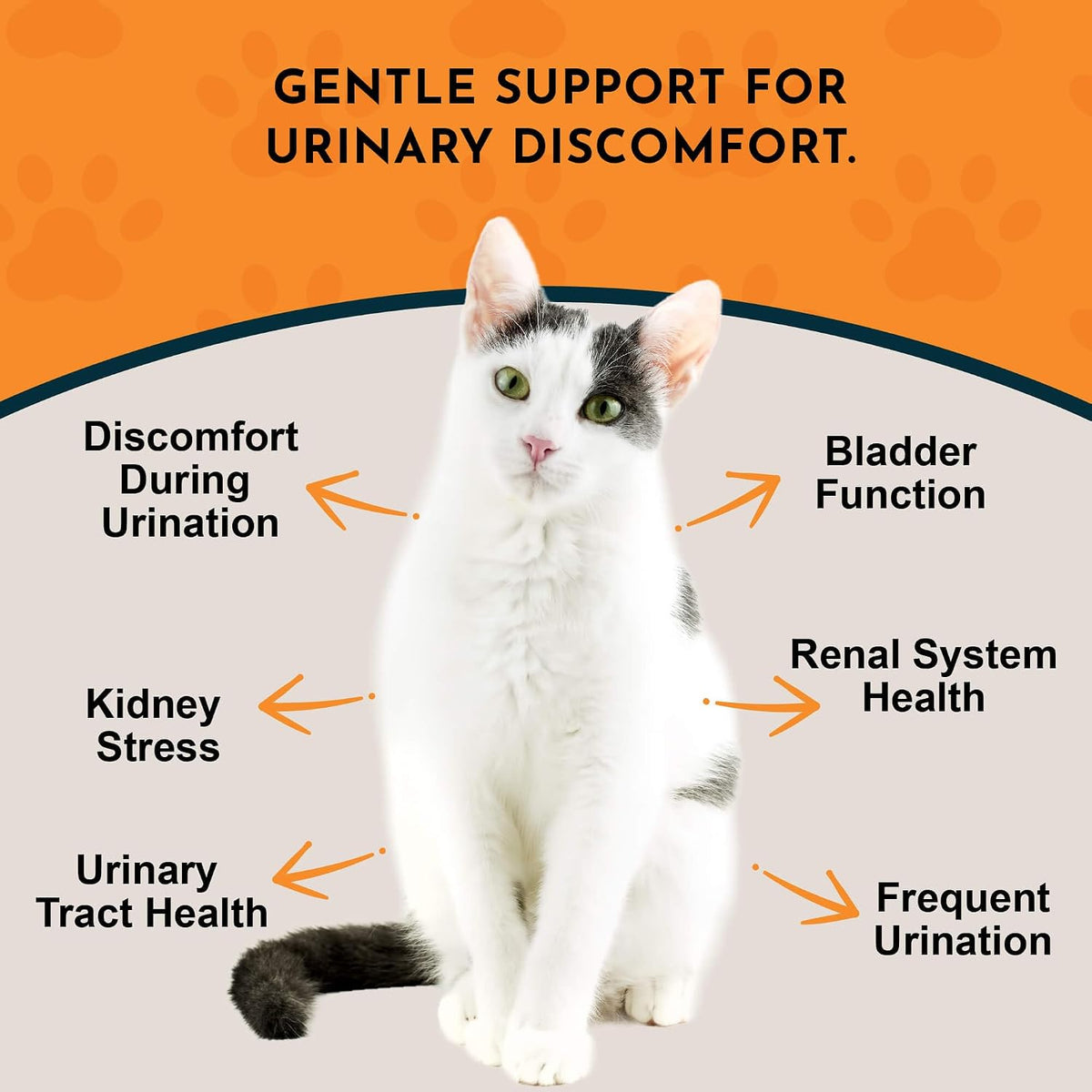 Animal Essentials kidney supplement packaging showing certified organic herbs
