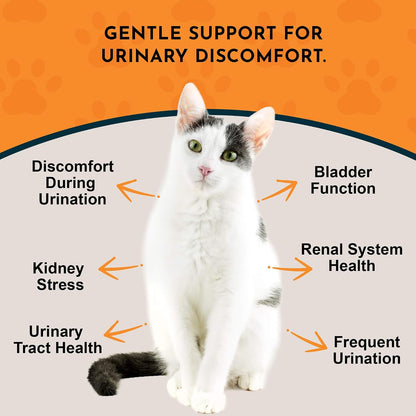 Animal Essentials kidney supplement packaging showing certified organic herbs