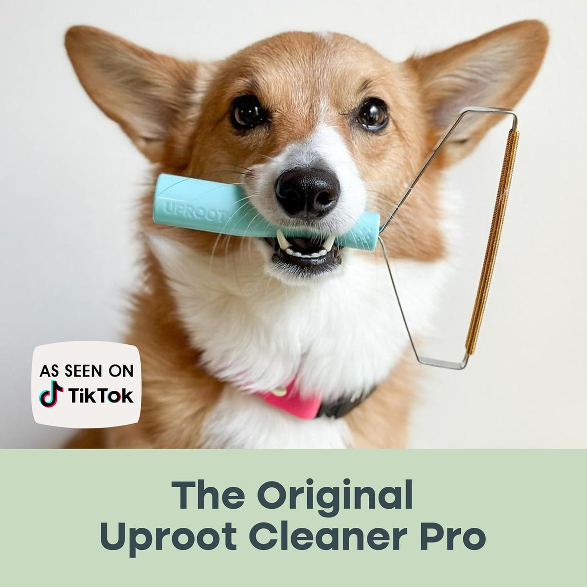 Comparison of surface before and after using Uproot Cleaner Pro