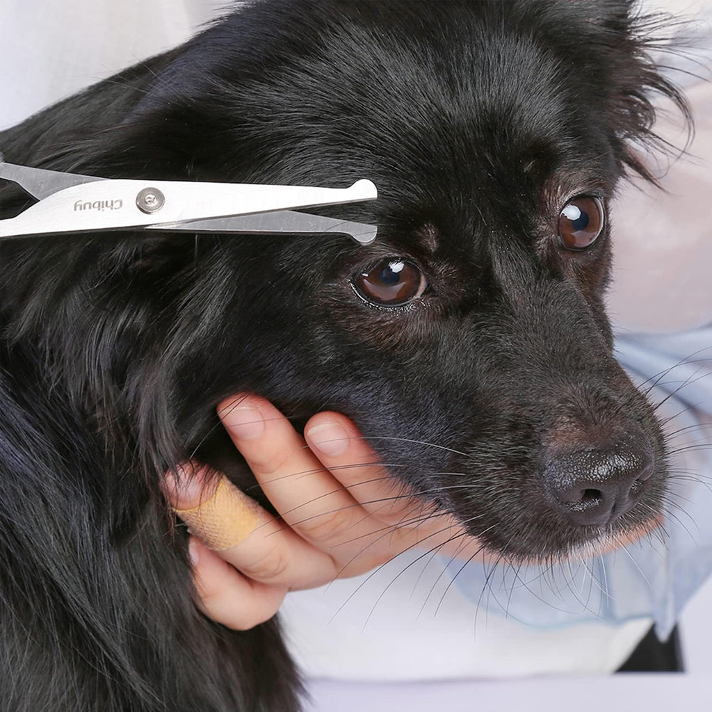 Adjustable tension screw on Chi-buy stainless steel pet scissors for fur trimming.
