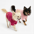 Fitwarm thermal cat apparel three pack set close up view.