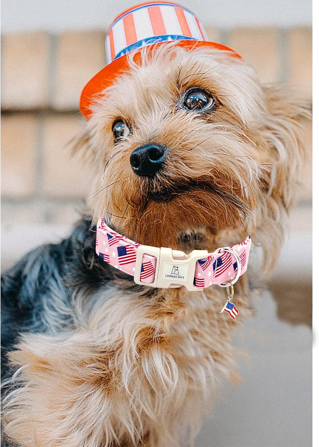 Welded D-ring hardware on patriotic dog collar
