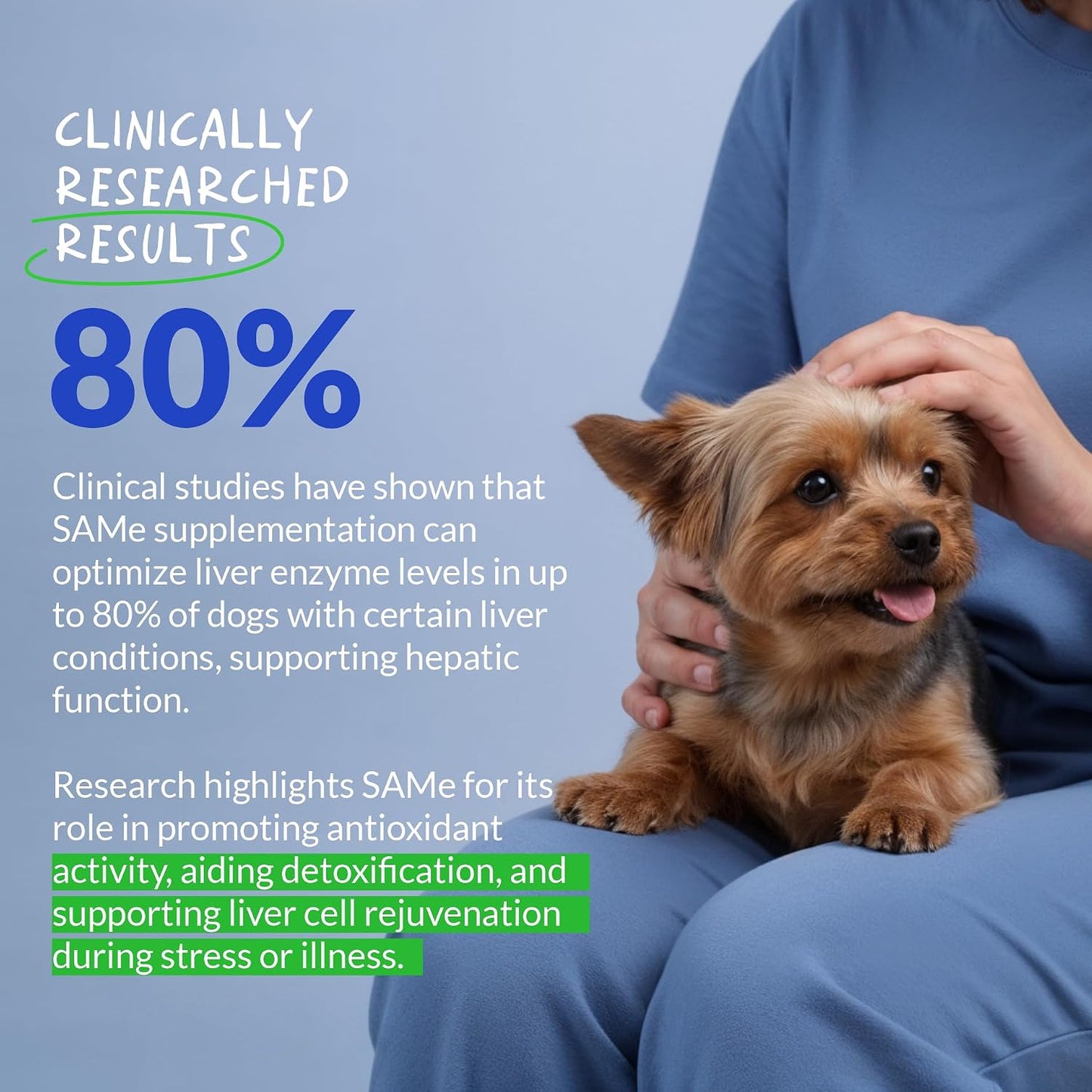 S-Adenosyl-L-Methionine daily dog supplement ingredients list