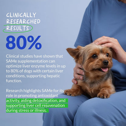 S-Adenosyl-L-Methionine daily dog supplement ingredients list