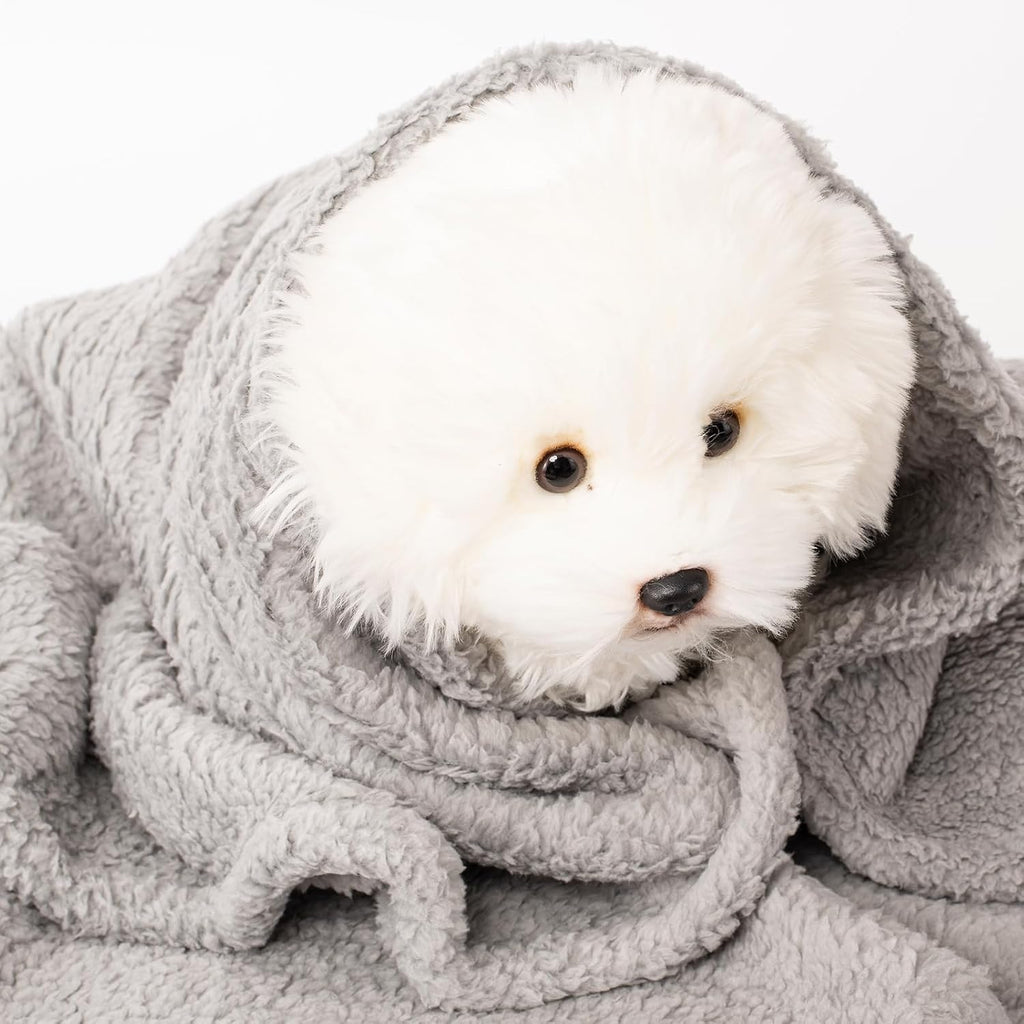Three piece imported pet blanket set inside a home bedroom setting.