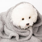 Three piece imported pet blanket set inside a home bedroom setting.