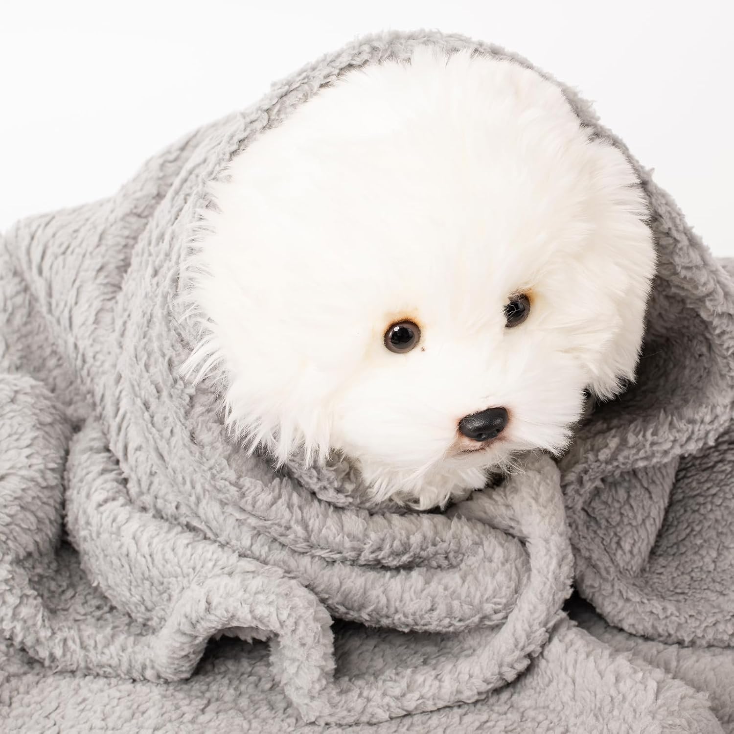 Three piece imported pet blanket set inside a home bedroom setting.