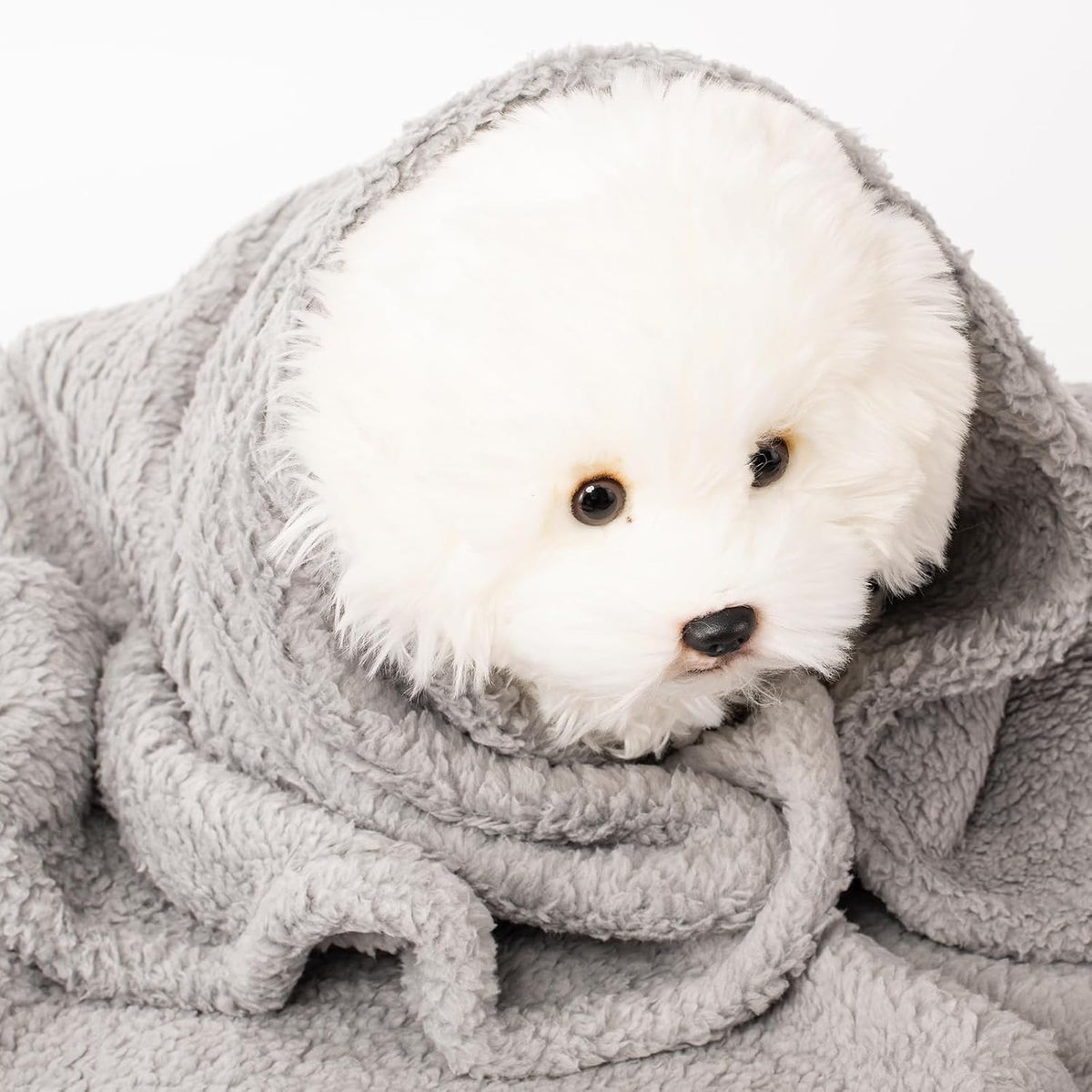 Three piece imported pet blanket set inside a home bedroom setting.
