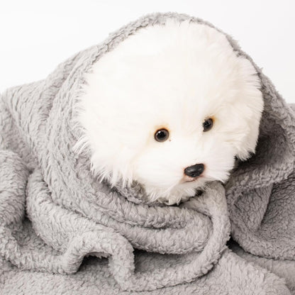 Three piece imported pet blanket set inside a home bedroom setting.