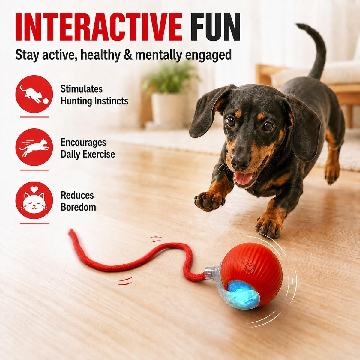 Interactive Automatic Rolling Electronic Stimulation Chase Ball Cat Dog Toy - Image 2