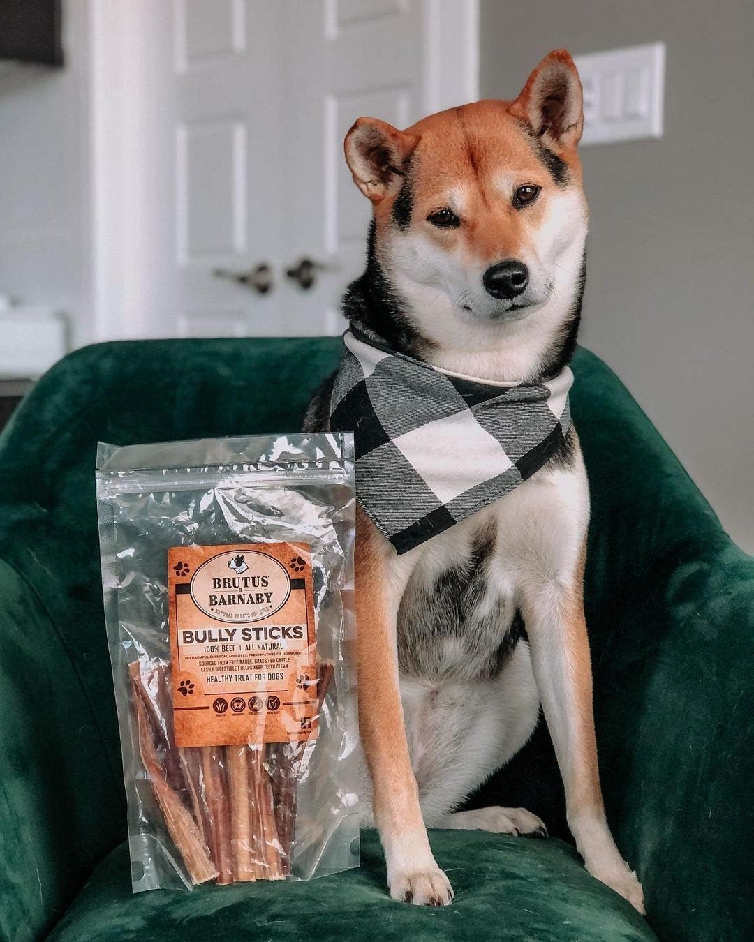 BRUTUS & BARNABY 6 Inch Bully Sticks for Dogs (12 Count) - Thick Grass-Fed Beef Pizzle Sticks, Odor Free Natural Dog Chews, Rawhide Free, Long Lasting for Small, Medium & Large Aggressive Chewers - Image 9