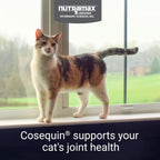 Nutramax Cosequin Cat Joint Supplement Capsule Packaging And Label