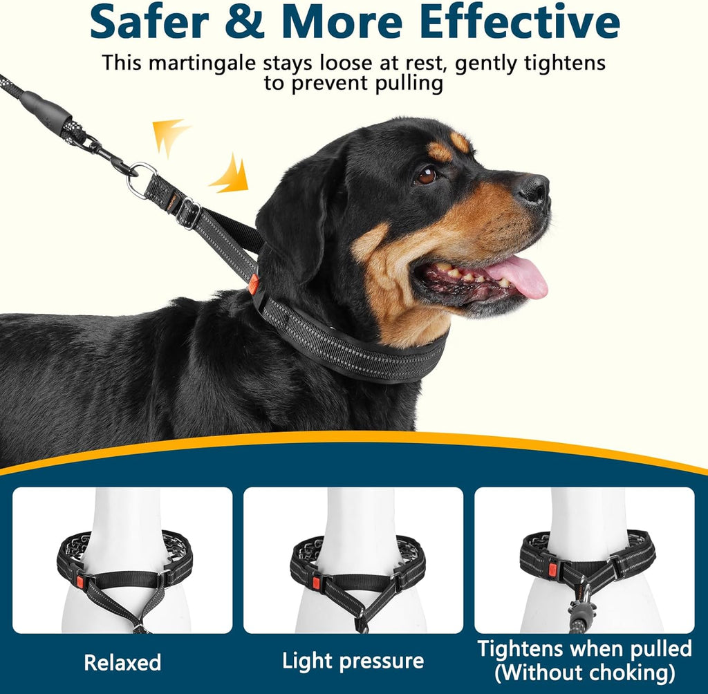 Adjustable nylon webbing detail on black dog training collar