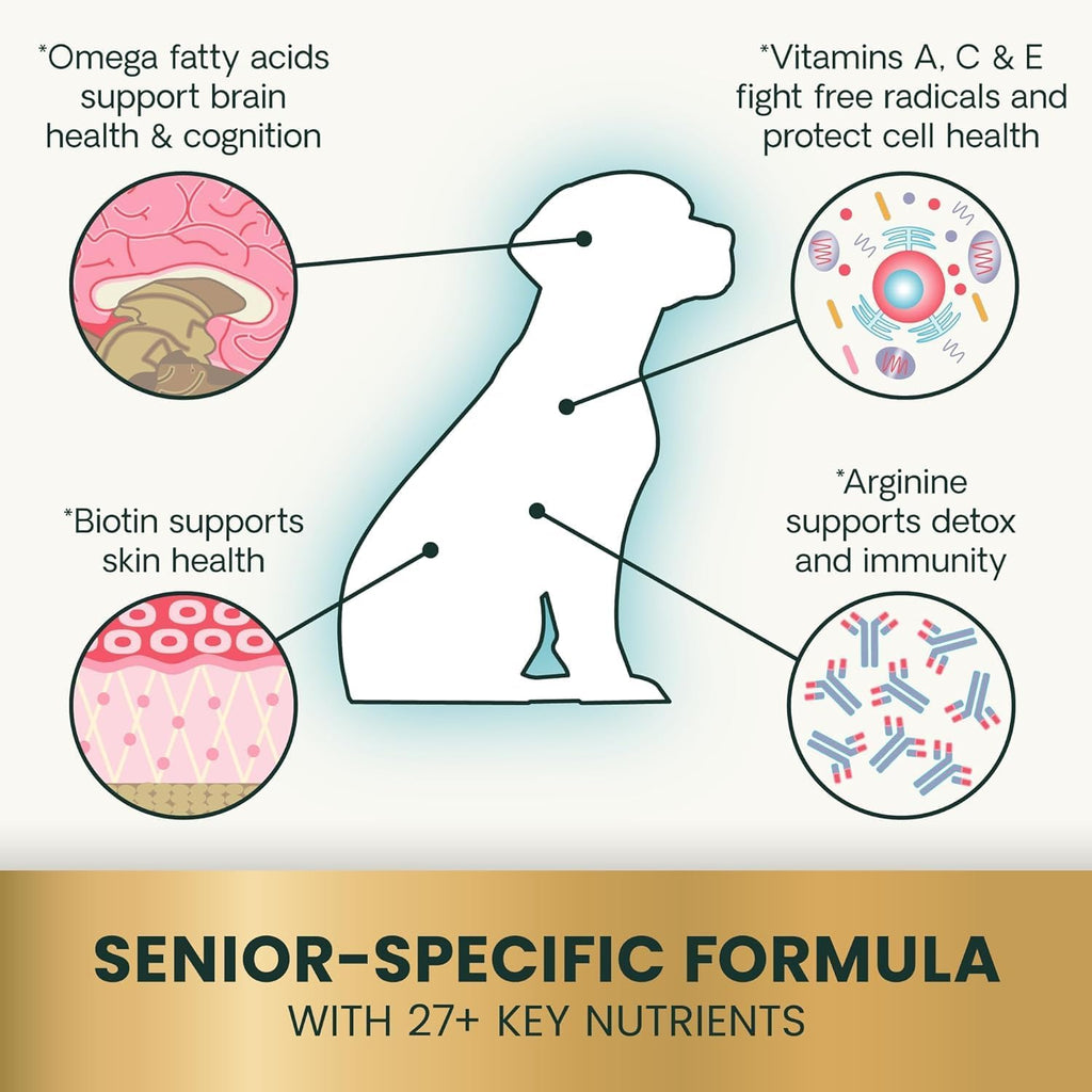 Senior dog enjoying VetriScience nutritional health chews