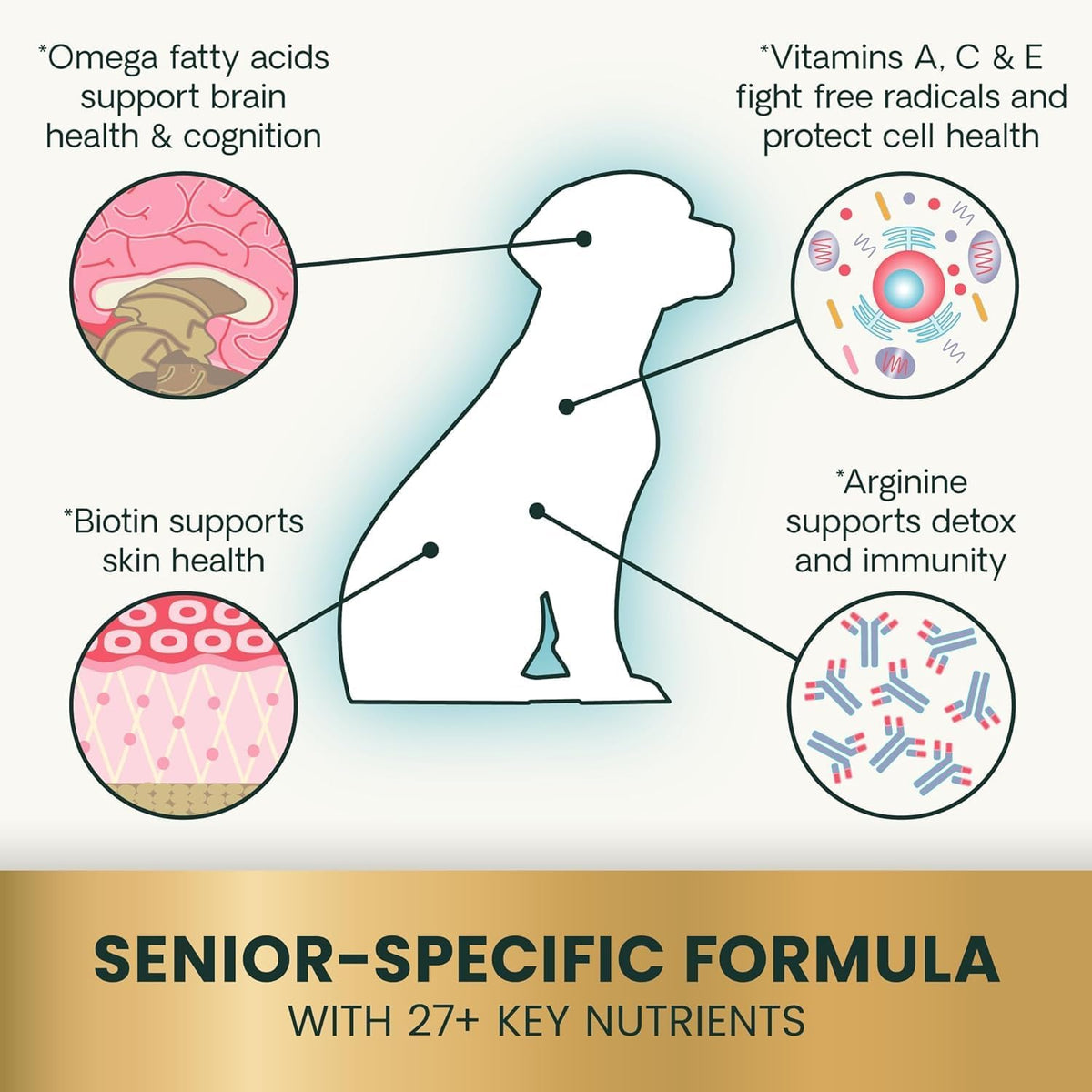 Senior dog enjoying VetriScience nutritional health chews