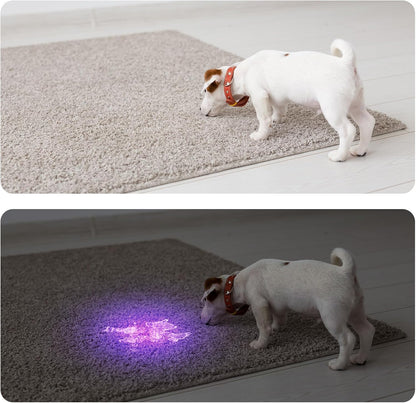 COSOOS portable UV light curing resin art on a crafting table