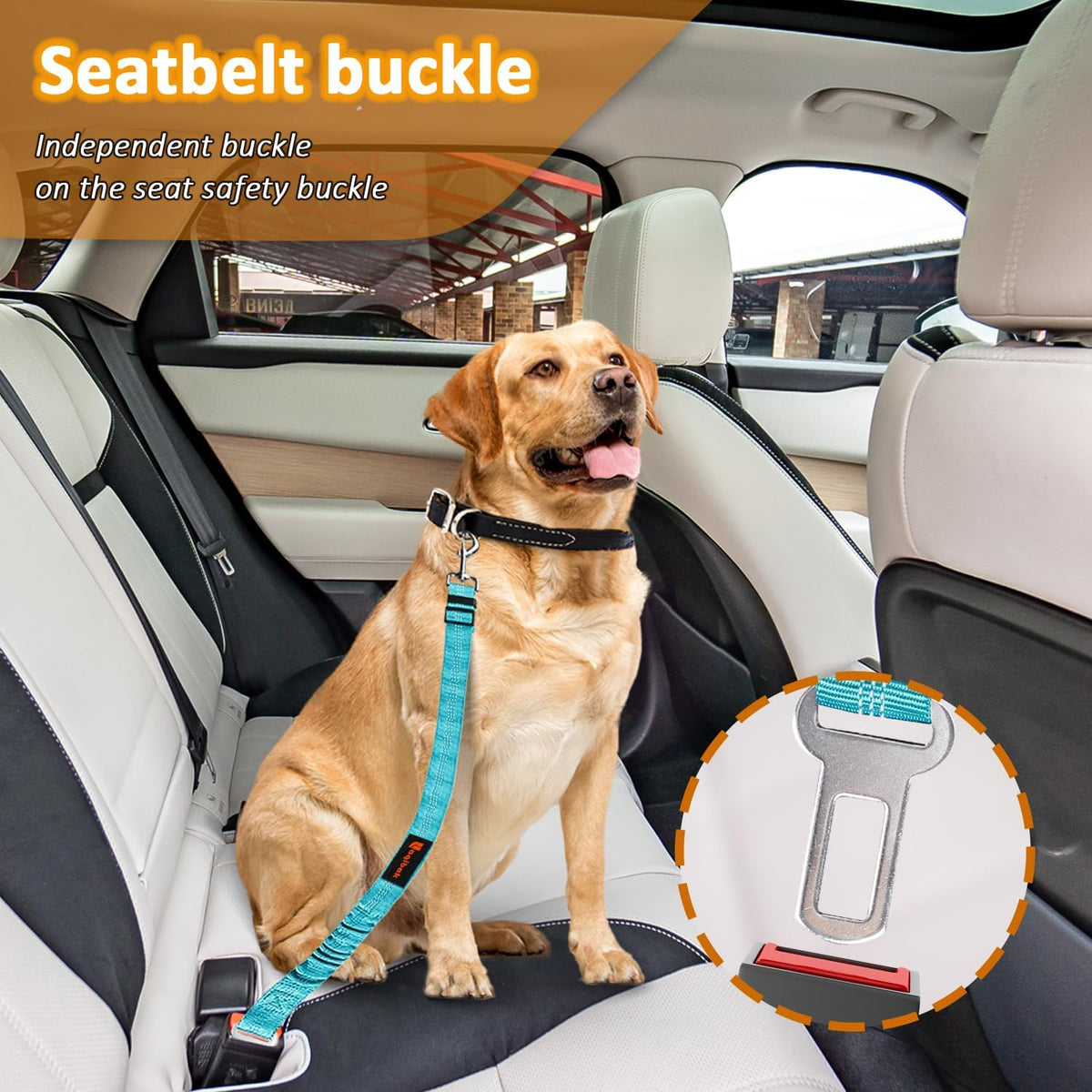 Blue and black dog car seatbelt tether system