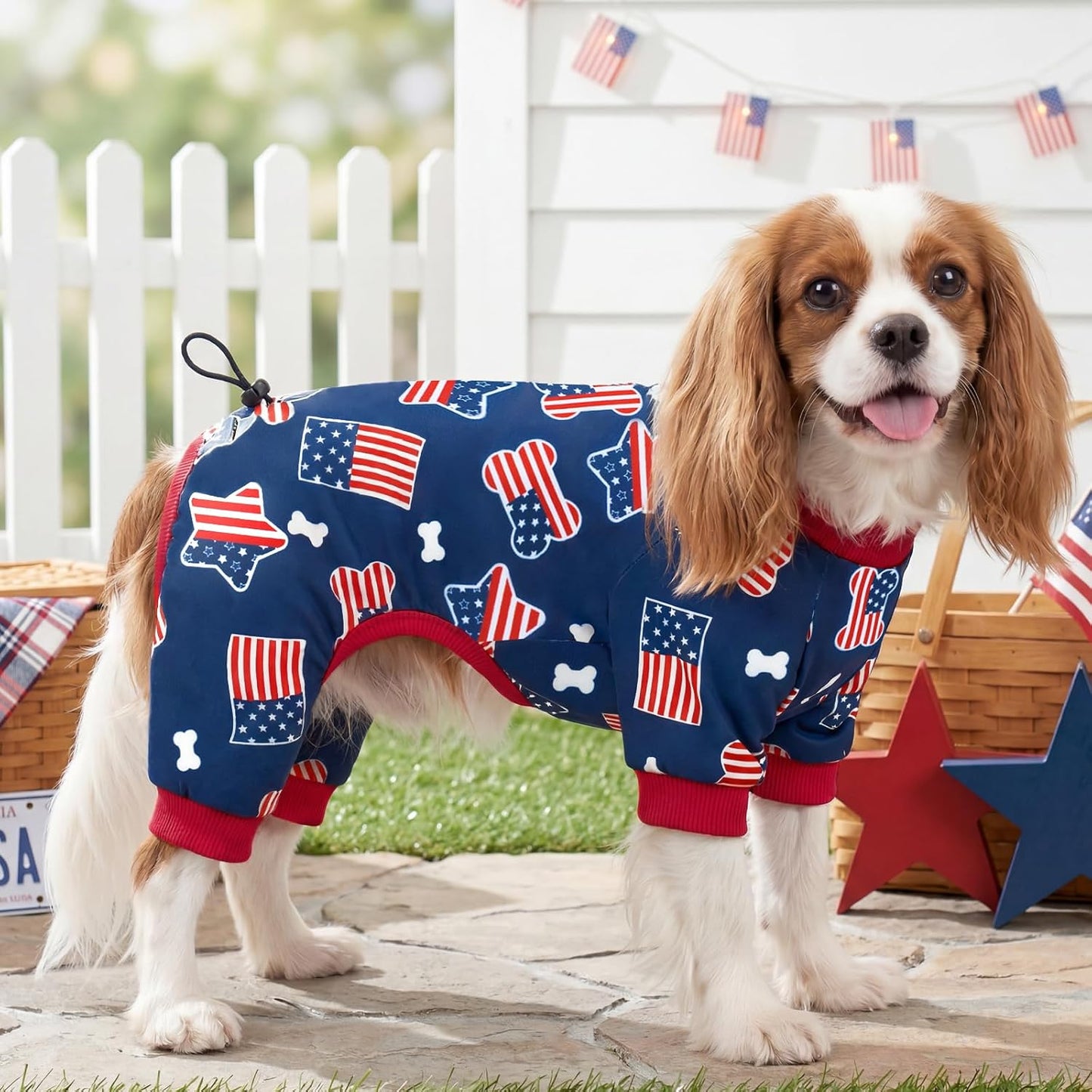 Small breed dog wearing red white and blue patriotic onesie