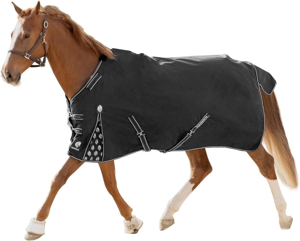 Equinavia Norse medium weight horse blanket front view waterproof winter turnout sheet
