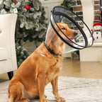 Didopet adjustable soft dog cone showing detachable shield mechanism for eating