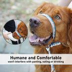 Dog walking comfortably using Barkless printed head collar